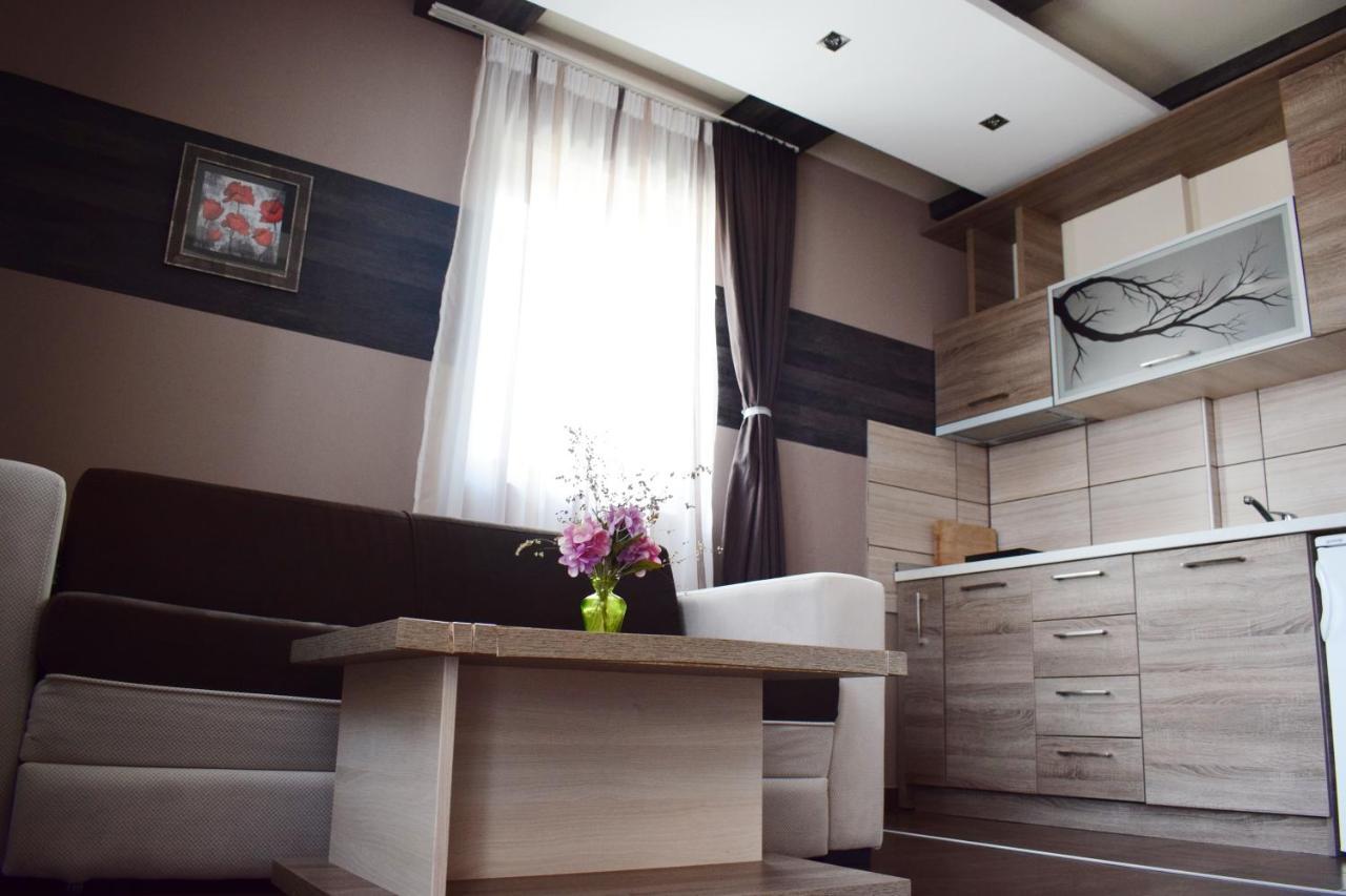 Apartamento Milmari Friends And Family Kopaonik Exterior foto